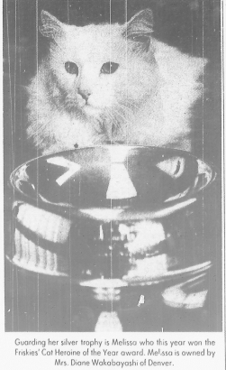 Melissa Cat Heroine of 1978