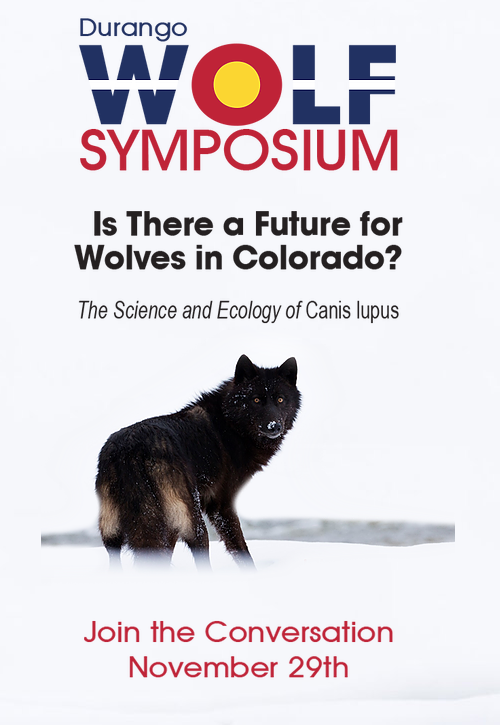 Screen Shot 2018 11 27 at 11.10.33 AM