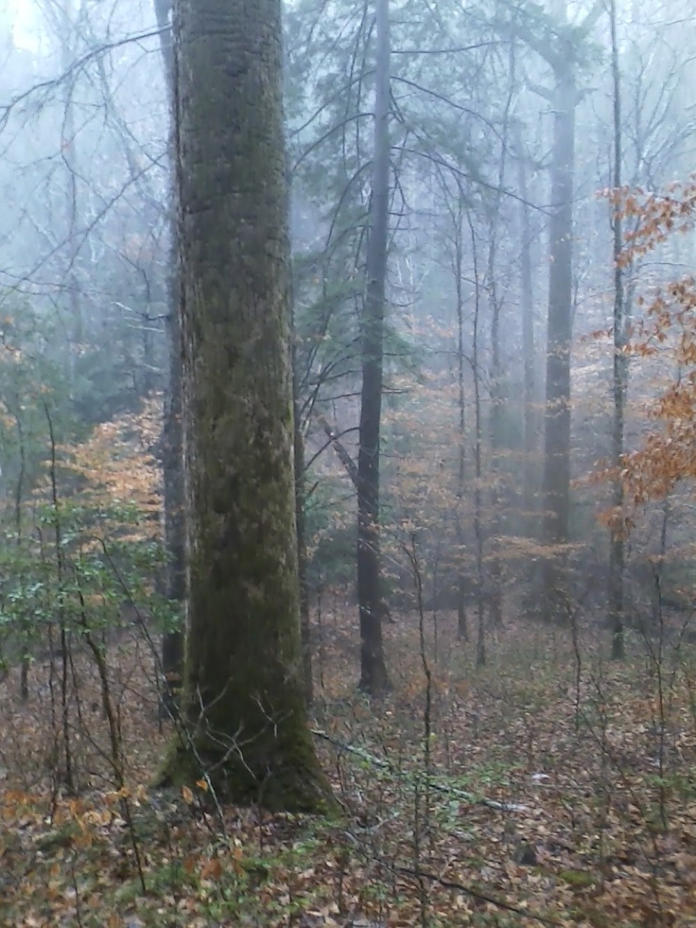 University Press of Colorado - Erin A Tripp