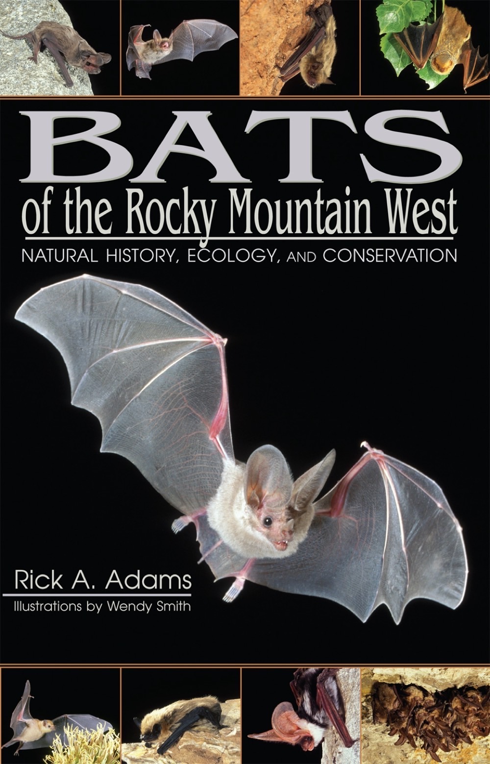 University Press of Colorado - Mammals of Colorado