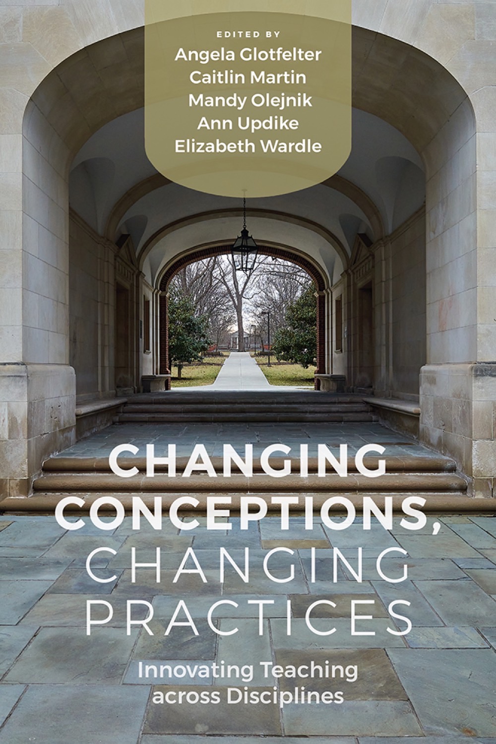 Changing Conceptions, Changing Practices Changing Conceptions, Changing Practices