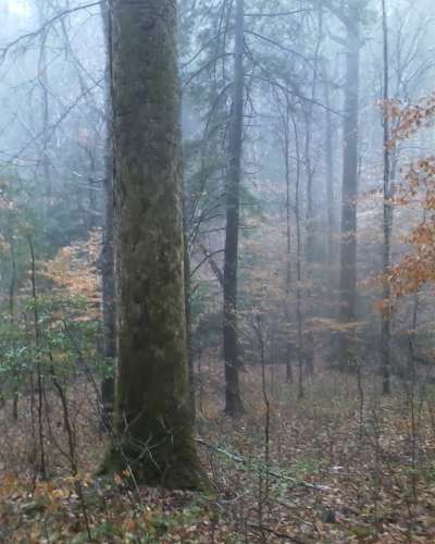 University Press of Colorado - News & Features