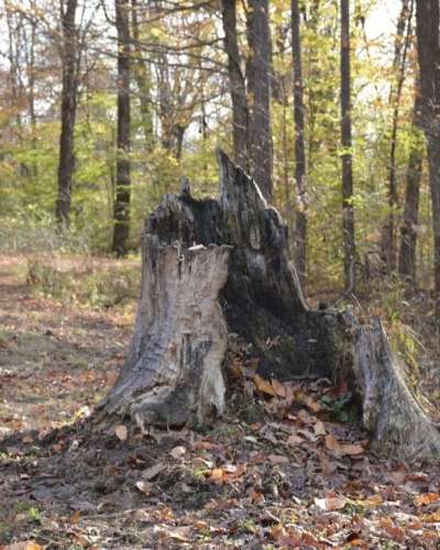 University Press of Colorado - News & Features