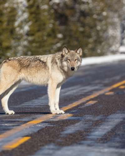 University Press of Colorado - News & Features