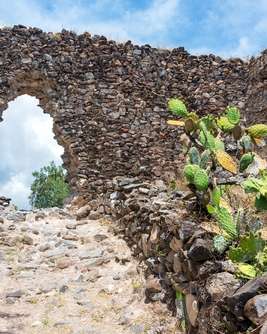 University Press of Colorado - News & Features