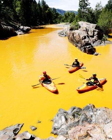 University Press of Colorado - News & Features