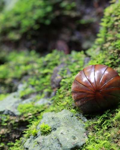 University Press of Colorado - News & Features