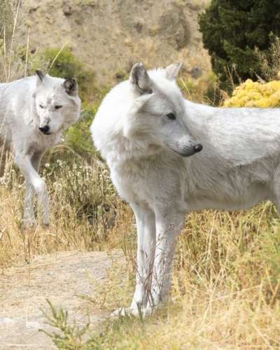 University Press of Colorado - News & Features