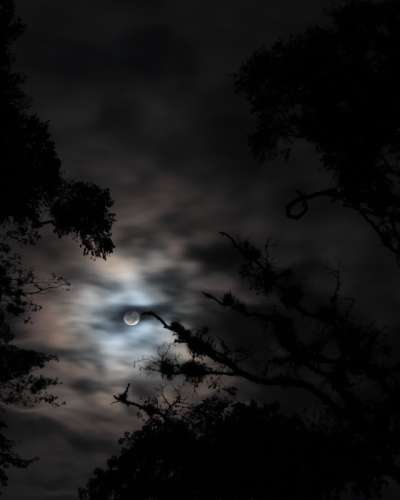 University Press of Colorado - News & Features