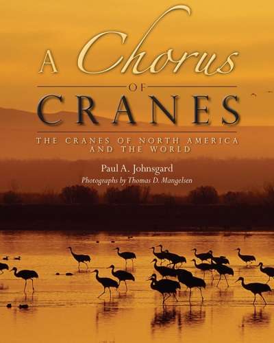 University Press of Colorado - News & Features