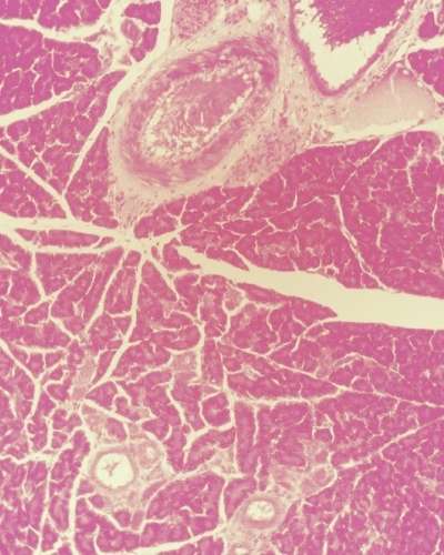 University Press of Colorado - News & Features