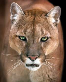 University Press of Colorado - News & Features