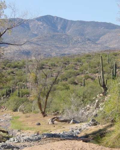 University Press of Colorado - News & Features
