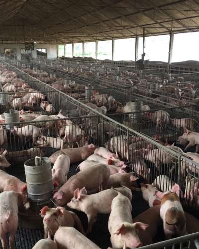 University Press of Colorado - News & Features