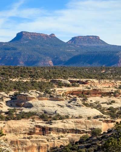 University Press of Colorado - News & Features