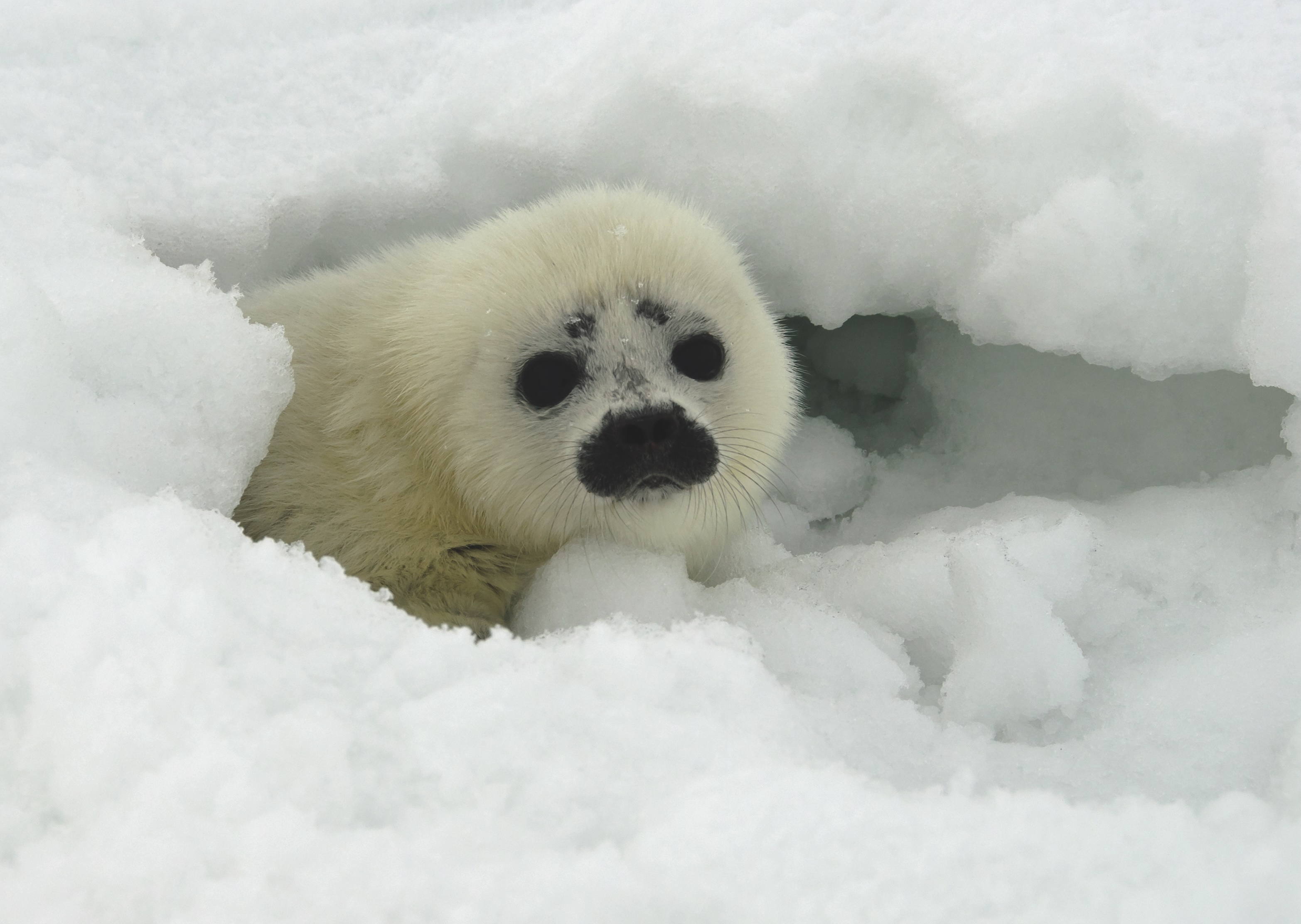 University Press of Colorado - 2023–2024 Annual Report